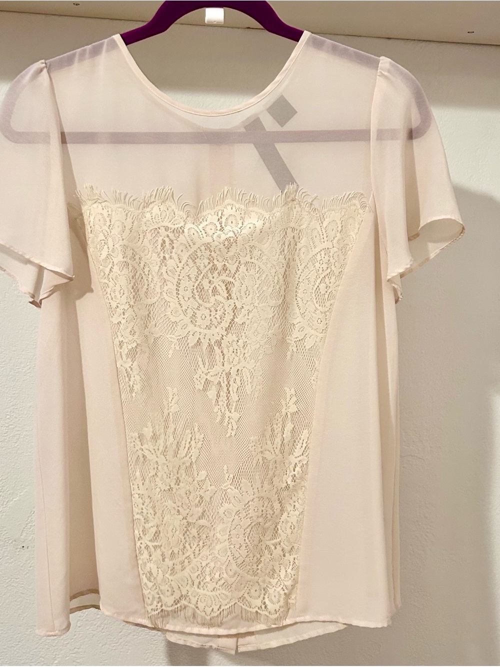 Sheer Lace-Panel Blush Top